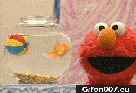Elmo, Fish