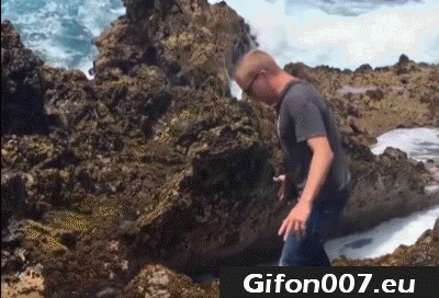water wave, gif animation, parents, fall