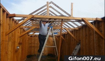 Builder, Man, Fail, Gif, Funny, Fall Down, Ladder, Roof
