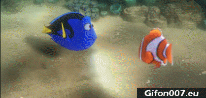 Finding Dory, Online, Film, Movie, Gif