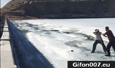 Frozen Pond, Winter Fails, Frost, Ice