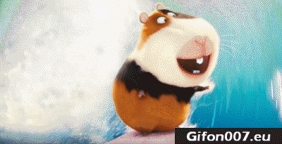GoPro Cartoon Film, Movie, Gifs, Gif, Video, Mouse, Waves