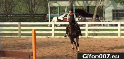 Horseback Riding, Gif, Funny, Fail, Barrier