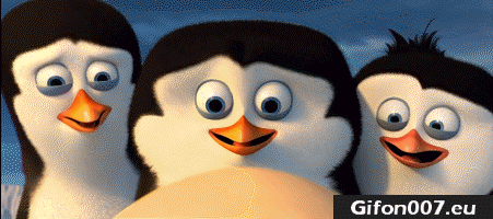 Penguins of Madagascar, Online, Film, Movie, Gif