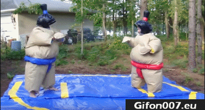Gif 226: Sumo, Ring, Fail, Funny, Gifs, Gif, Suits 