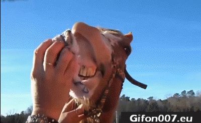 Funny Horse, Gif, Mouth