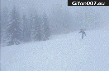 winter-ski-snow-fails-gif-video