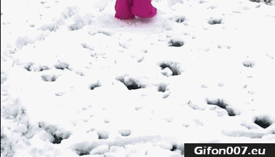 baby-falling-face-into-snow-gif-video