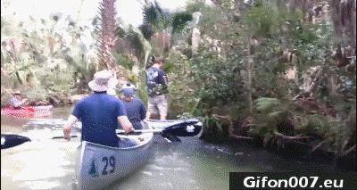 fall-into-the-water-from-a-boat-gif-video