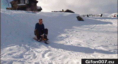 Gif 499: Winter, Snow Fails, Gif, Videos 
