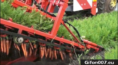 Tractor, Carrot, Video, Gif, Field