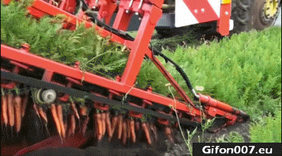 Tractor, Carrot, Video, Gif, Field