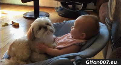 Cute Baby with Dog, Videos, Youtube, Gif