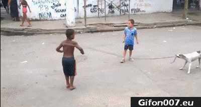 Funny Rope Skipping, Dog, Video, Gif