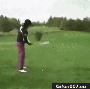 Funny Video, Golf, Fail, Gif