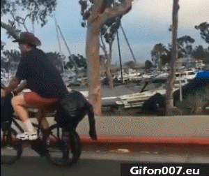 Funny Video, Riding a Bike, Horse, Gif