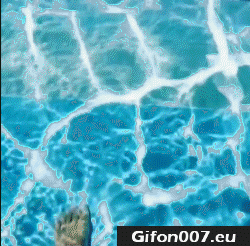 Swimming Pool, Height, Town, Video, Gif