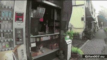 Funny Video, Dog as a Shop Assistant, Gif