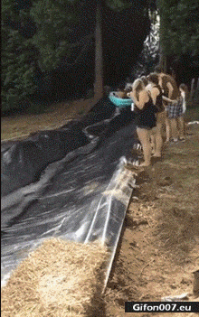 Funny Video, Water Slide, Dog, Fail, Gif