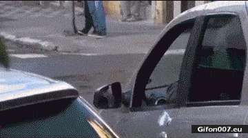 Funny Video, Cleaning Man, Street, Car, Gif