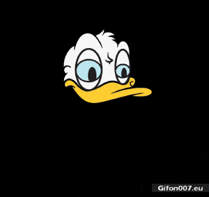 Funny Video, Duck Donald, Donald Trump, Gif