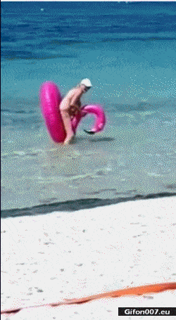 Funny Video, Grandma, Inflatable Bird, Sea, Gif