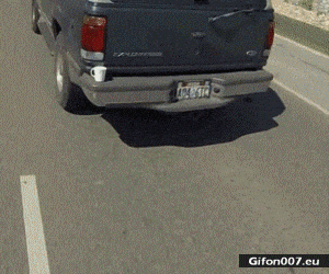 Funny Video, Motorcycle, Car, Cup, Gif