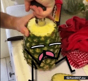 Funny Video, Pineapple, Gif