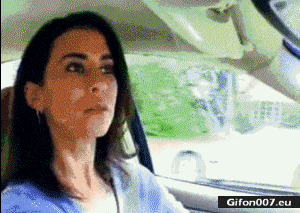 Funny Video, Police, Baby, Woman, Car, Gif