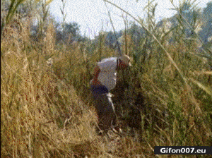Funny Video, Pooping, Nature, Shovel, Gif
