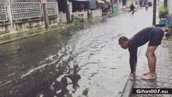 Funny Video, Water, Swimming, Street, Gif