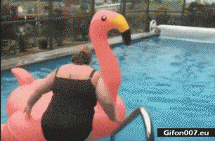 Funny Fail Video, Swan, Water Pool, Gif