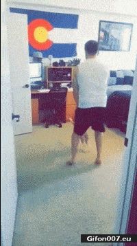 Funny Video, Cat, Dancing, Man, Gif