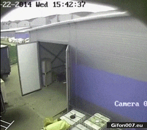 Funny Fail, Palette, Warehouse, Video, Gif
