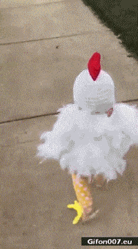 Funny Video, Child, Chicken Suit, Gif
