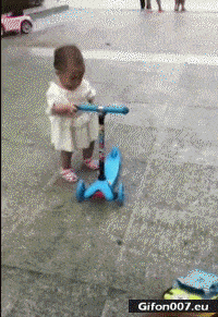 Funny Video, Dog, Child, Scooter, Gif