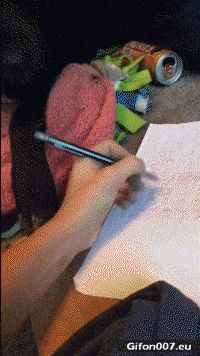 Funny Video, Writing, Pen, Dog, Gif