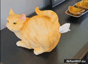 Funny Video, Artificial Cat, Handkerchiefs, Gif