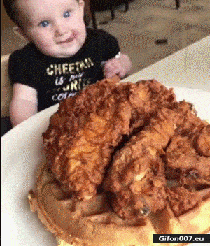 Funny Video, Food, Baby Lick up, Gif