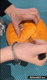 Funny Video, Pumpkin, Fuck You, Gif